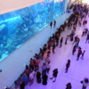The Dubai Mall contains a massive Aquarium.