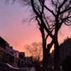 Brooklyn Sunrise