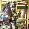 Horses from a "Carousel for Missoula"