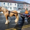 Pony Cart, Chapelizod, Dublin