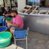 Fish Stall, Agios Kirykos, Ikaria, Greece