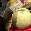 Million-Dollar Melon