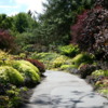 VanDusen Gardens, Vancouver