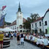 Wine Festival, Gumpoldskirchen, Lower Austria