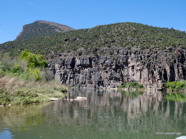 19 Rafting Dinosaur NM