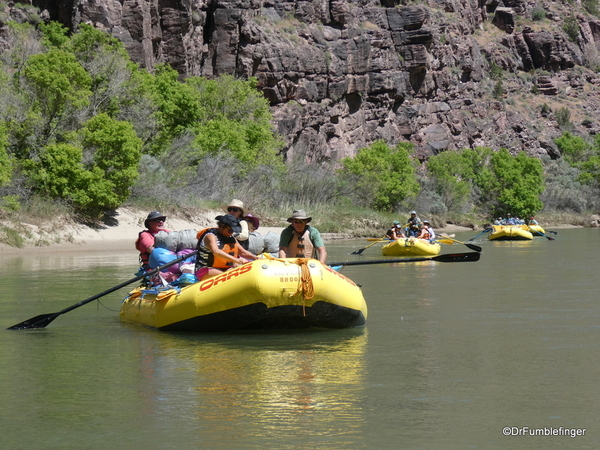 26 Rafting Dinosaur NM