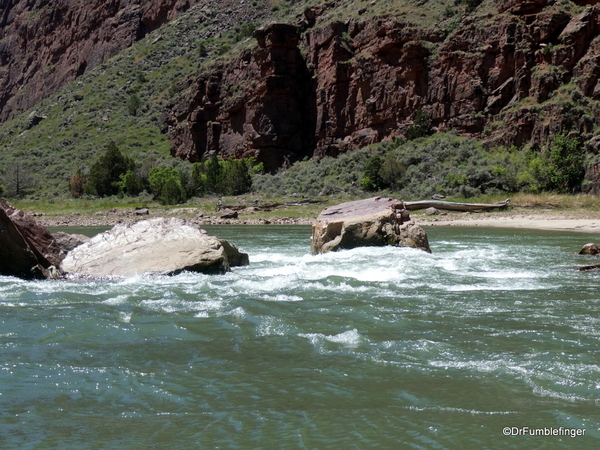 30 Rafting Dinosaur NM