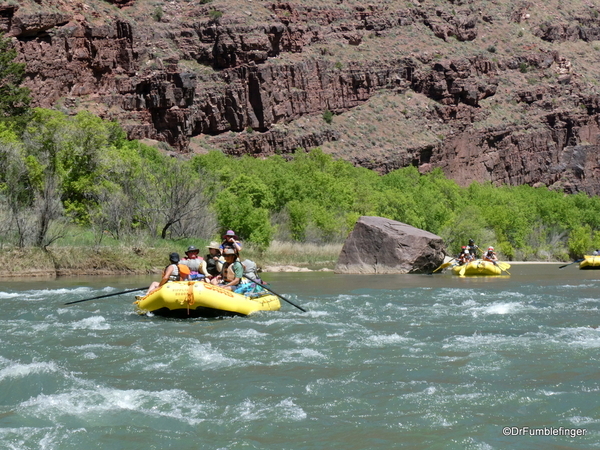 31 Rafting Dinosaur NM