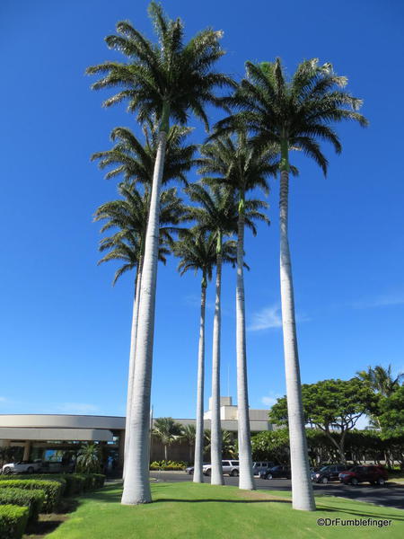 Main entrance of the Hapuna Beach Prince Resort