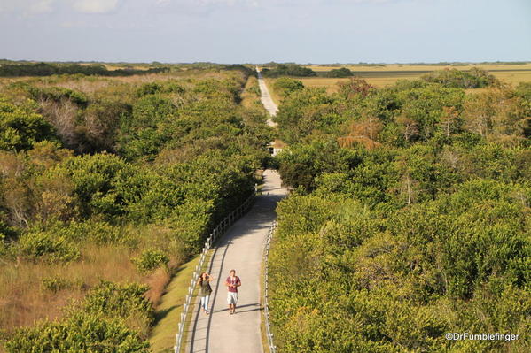 Trail leading to the Shark Valley Observation Tower