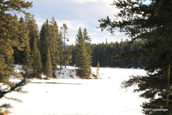 Johnson Lake Trail in the Winter