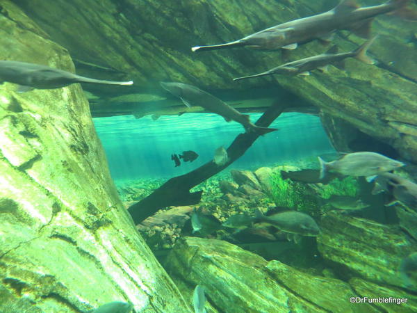 Great Lakes Exhibit, Canadian Waters Gallery, Ripley