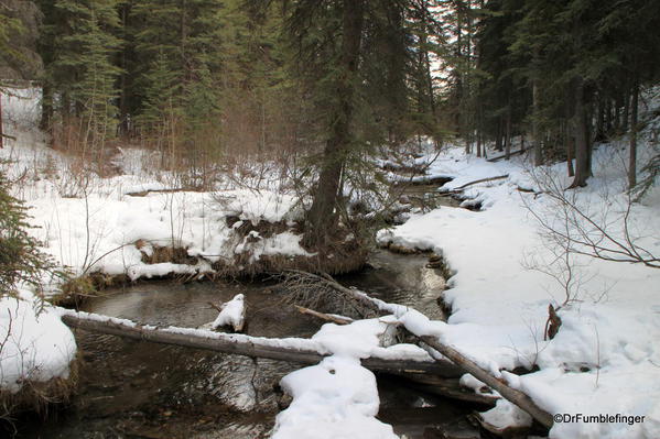 Johnson Lake Trail in the Winter