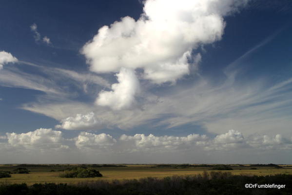 View of the Everglades from Trail leading to the Shark Valley Observation Tower