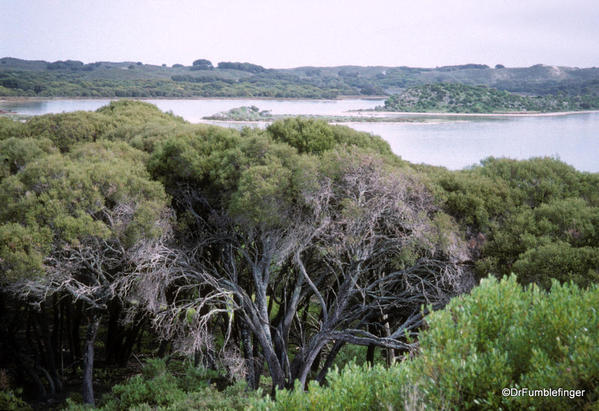 Lagoon, Rottnest Island