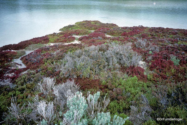 Rottnest Island