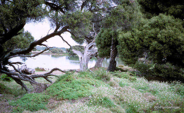 Saline lake, Rottnest Island