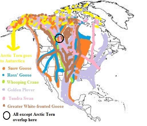 Map-Migration