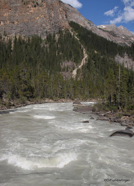 Yoho River, Yoho National Park