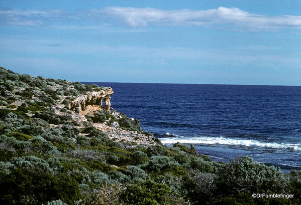 Rottnest Island.