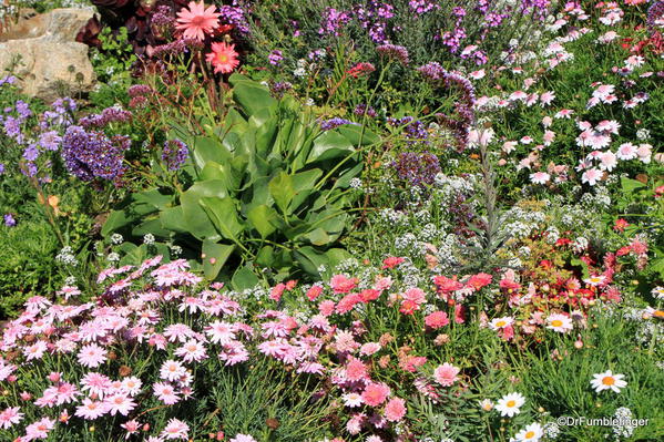 Flowers, Steinbeck plaza, Cannery Row