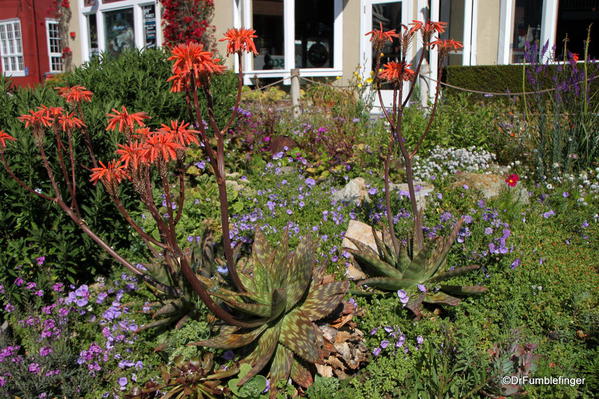 Flowers, Steinbeck plaza, Cannery Row