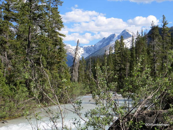 Yoho River &amp;amp;amp;amp;amp;amp;amp;amp;amp;amp;amp; Yoho Glacier, Yoho National Park