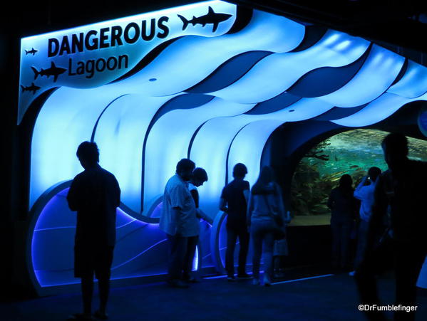 Entering the Dangerous Lagoon