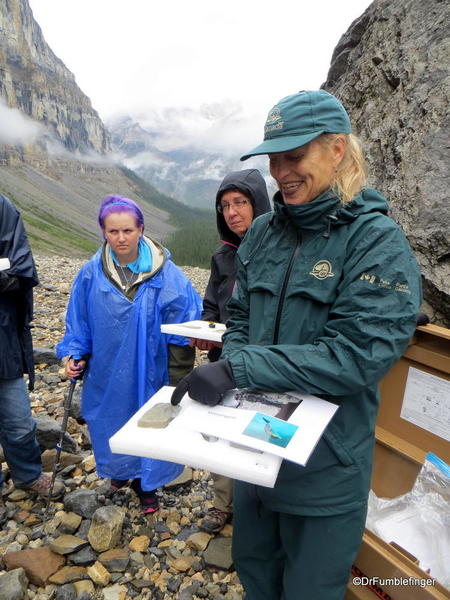 04. Stanley Glacier valley. Looking for fossils (43)