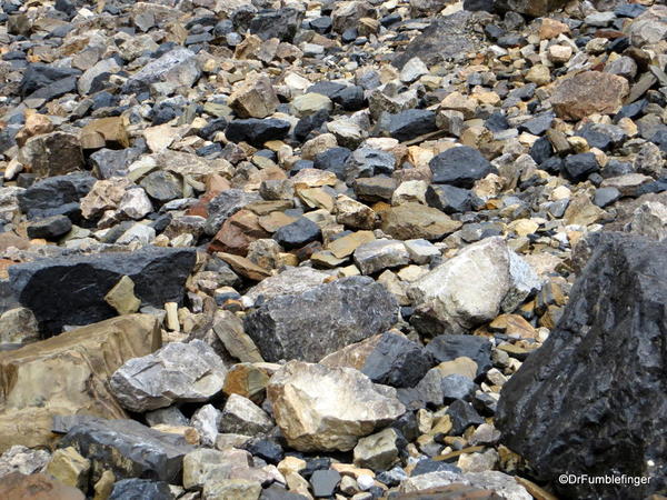 04. Stanley Glacier valley. Looking for fossils (9)