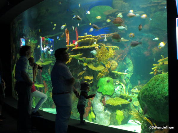 Rainbow Reef Gallery, Ripley