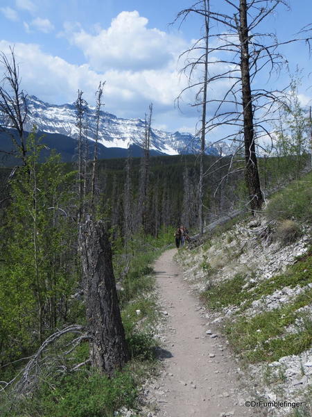 04 Lake Minnewanka Hike (11)