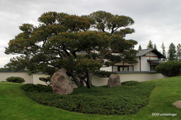 Nikka Yuko Japanese Garden, Lethbridge. Pavilion