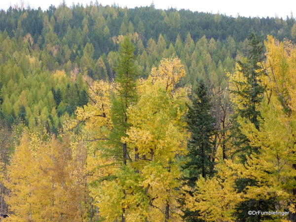 05 Fall Colors Crowsnest Pass