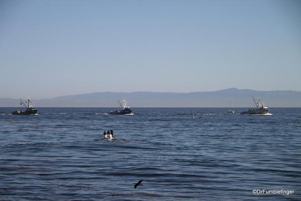 Views of Monterey Bay from Cannery Row