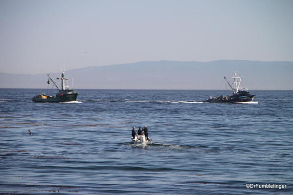 Views of Monterey Bay from Cannery Row