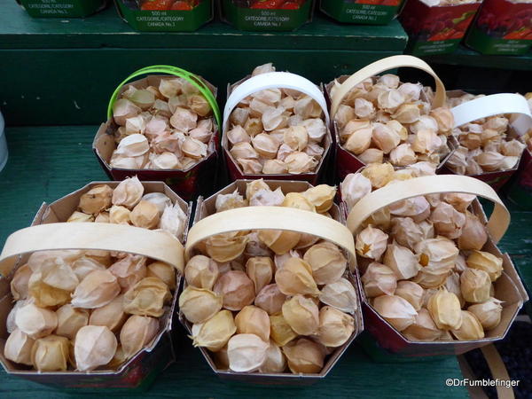 06-15 Byward Market 09-2016. Ground Cherries