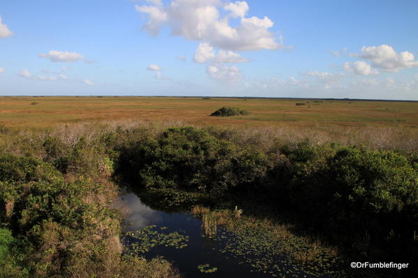 Everglades National Park, Shark Valley