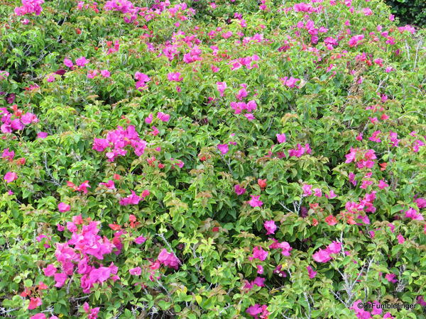 Landscaping, Hapuna Beach Prince Resort