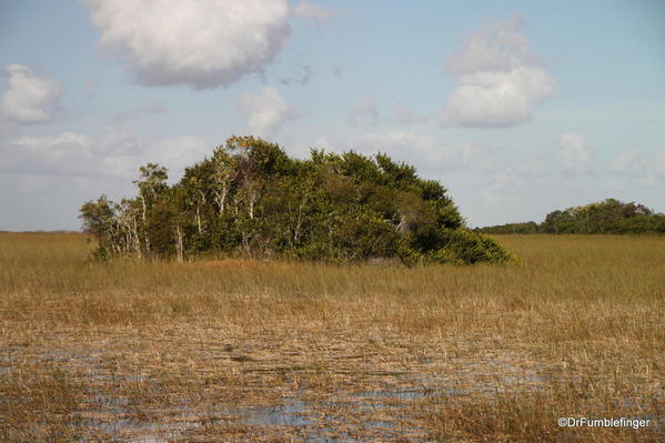 Everglades National Park, Shark Valley