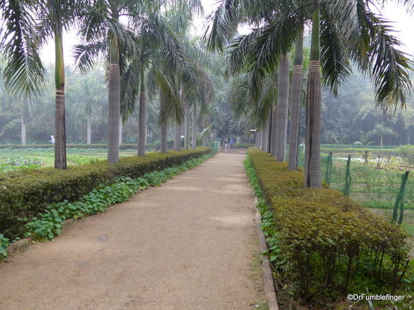 07 Lodhi Gardens, Delhi 02-2016