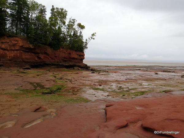 08 Burntcoat Head Provincial Park