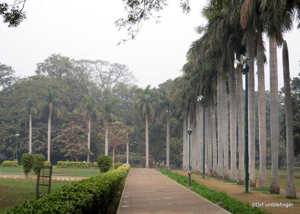 08 Lodhi Gardens, Delhi 02-2016 (1)