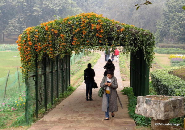 08 Lodhi Gardens, Delhi 02-2016 (2)