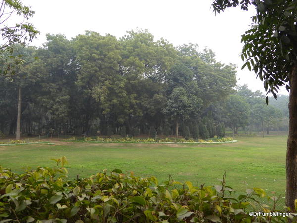 08 Lodhi Gardens, Delhi 02-2016 (7)