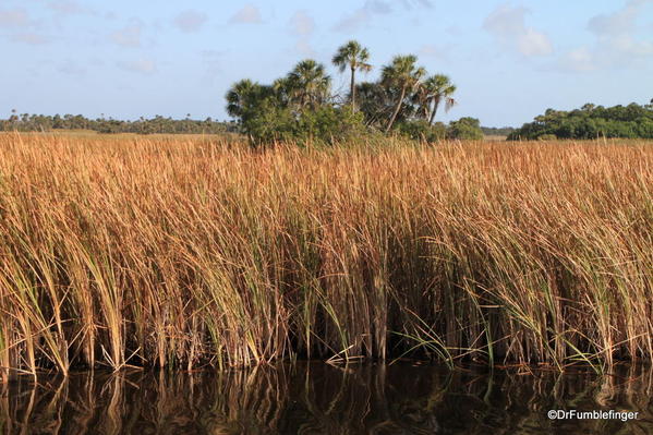 Everglades National Park, Shark Valley