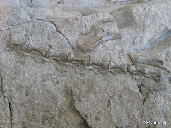 Dinosaur National Monument. Fossil Bone quarry site