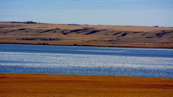 Snow-Goose-lake-3cs