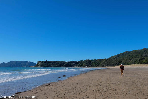 10). Waihau Bay