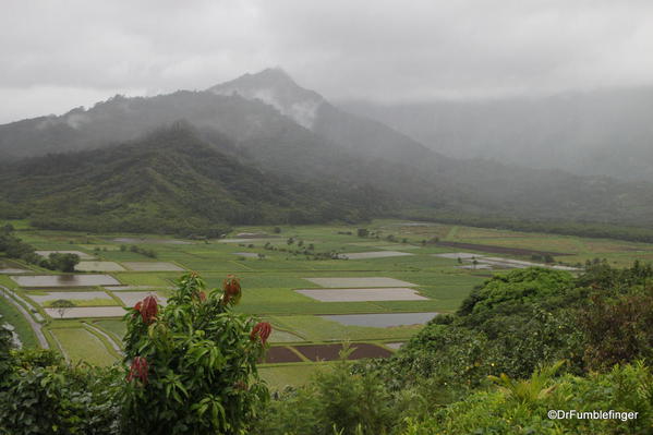 Tropical storm conditions existed with rains drenching the Hanalei Lookout